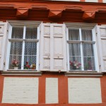 IMG_6721